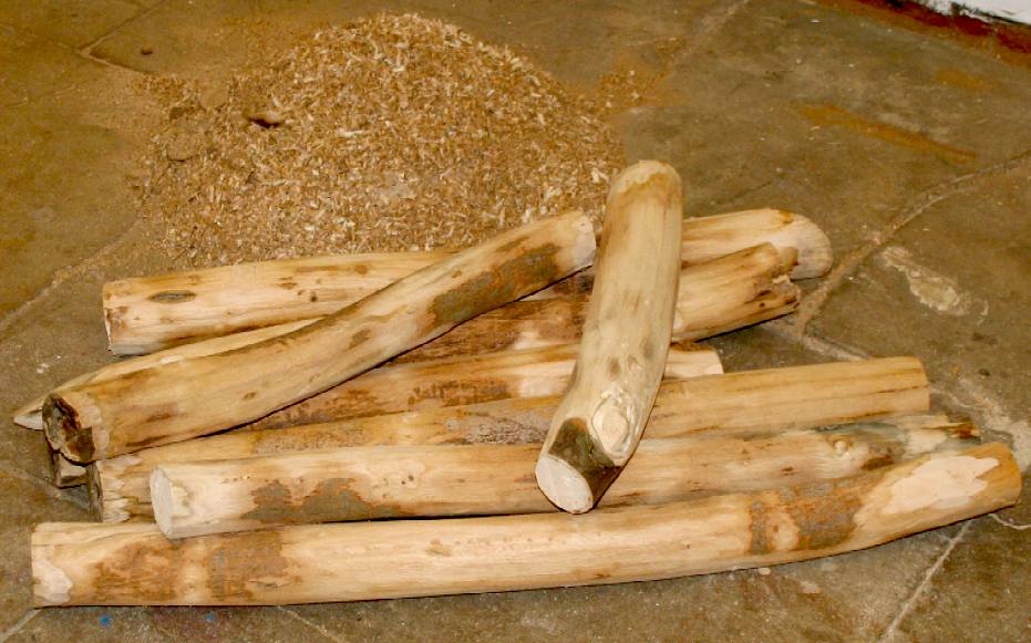 Sycamore branches being prepared